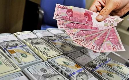 Neraca Pembayaran Indonesia Surplus 5,9 miliar dolar AS, Ekonom Ungkap Jadi Sinyal Baik