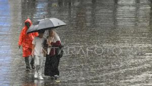 DPR Minta Kemenkes Tanggapi Risiko Kesehatan Isu 'Hujan Mikroplastik'