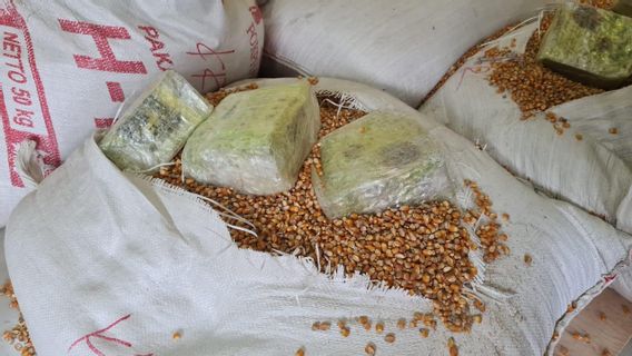 BNN Déjoue La Contrebande De Centaines De Kilos De Sabu Dans Des Sacs De Maïs