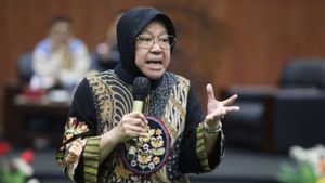 Badanas Reveals The Reason Social Minister Risma Was Not Involved In The Distribution Of Rice Food Aid