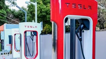 Polestar Resmi Jalin Kemitraan dengan Tesla untuk Akses Jaringan Supercharger di China