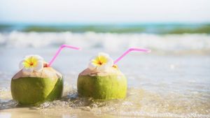 4 Waktu Terbaik Minum Air Kelapa agar Dapat Manfaat Maksimal