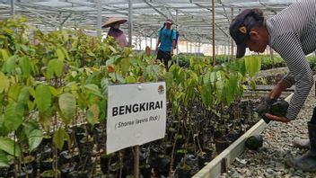 権限はIKN保護地域を164,000ヘクタールに目標とする