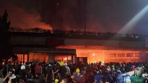 Pesan JK dan MUI: Demo Hak Warga Negara, tapi Setop Anarkis yang Rugikan Publik