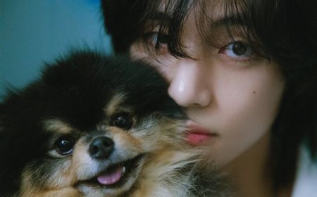 Anjing Kesayangan V BTS, Yeontan Meninggal Dunia