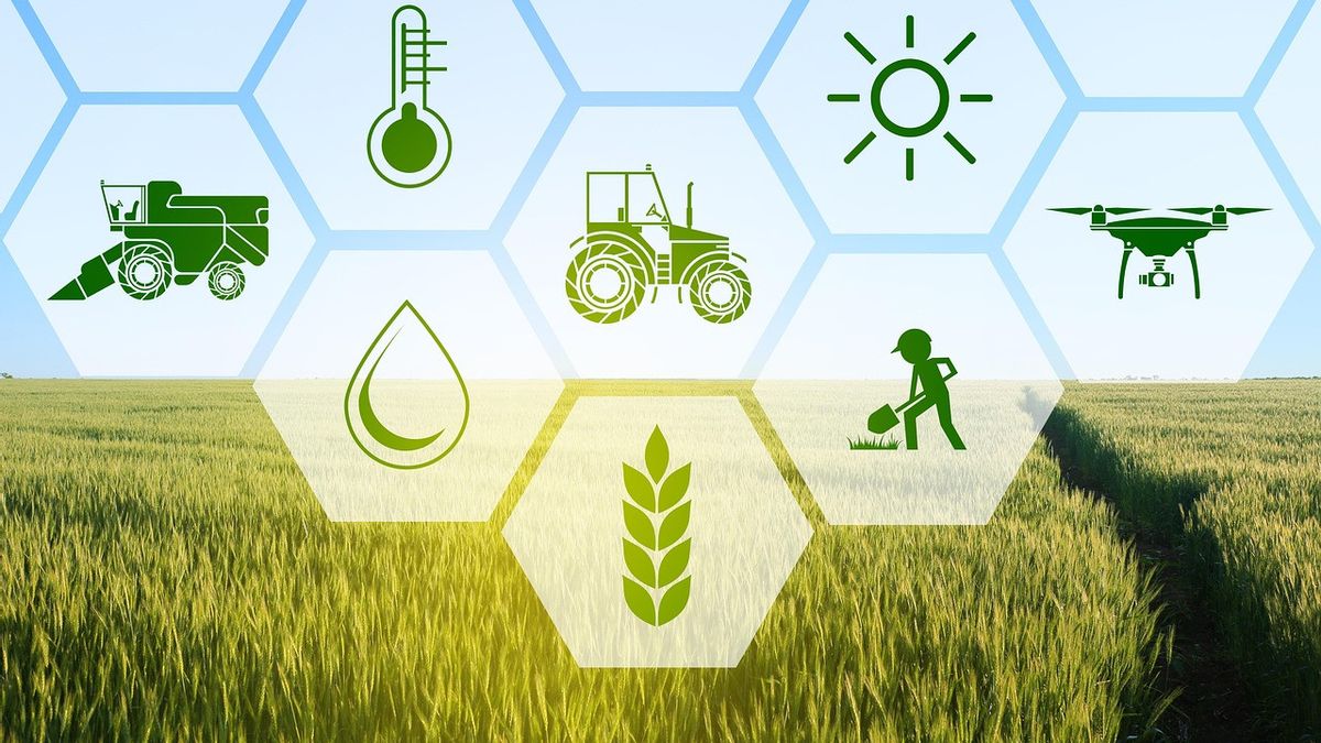 Aplikasi AI untuk Pemantauan Lingkungan dan Smart Farming, Yuk Simak Contoh Penerapannya! 