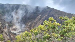 Misteri Jasad Tanpa Identitas di Gunung Ciremai, Diduga Sudah Seminggu Meninggal