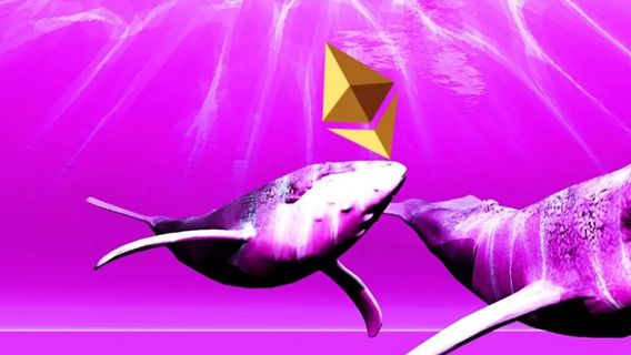 Crypto Markets Drop, Ethereum Whale Achète De L’ETH Lorsque Les Prix Baissent