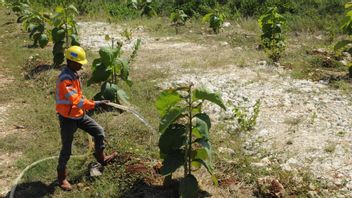 تحول SIG الأخضر: من النفايات إلى الطاقة إلى إعادة الاستصلاح