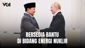 Vladimir Putin Tegaskan Rusia Siap Bantu Indonesia di Berbagai Bidang