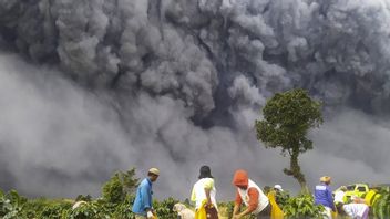 Alert, Meteorology Predicts Sinabung Eruption To Malaysia