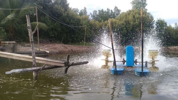 According to Pasang, it has the potential to submerge the pond in East Kalimantan, BMKG urges managers to prepare for anticipation
