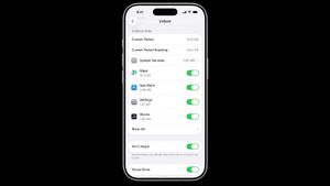 Begini Cara Melihat Jumlah Data Seluler yang Digunakan di iPhone