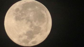 スーパームーンのため、BMKGはNTBの住民に11月12日までロブ洪水に注意するよう求めています