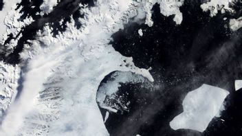 Lapisan Es Seukuran Kota New York Runtuh Tanpa Prediksi di Antartika Timur