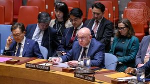 Desak Israel Hentikan Kekerasan dan Cabut Blokade di Jalur Gaza, Dubes Rusia: Ini Tidak Dapat Diterima