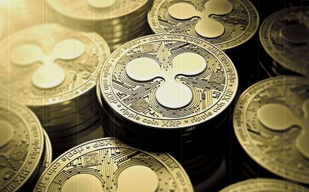 Ripple di Atas Angin, SEC Cuma Didukung Satu Perusahaan