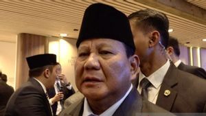 RI Gabung Dewan Bentukan Trump, Prabowo: Peluang Capai Perdamaian Gaza