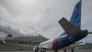 Puing Diduga Sriwijaya Air SJ-182 Ditemukan, KNKT Langsung Meneliti
