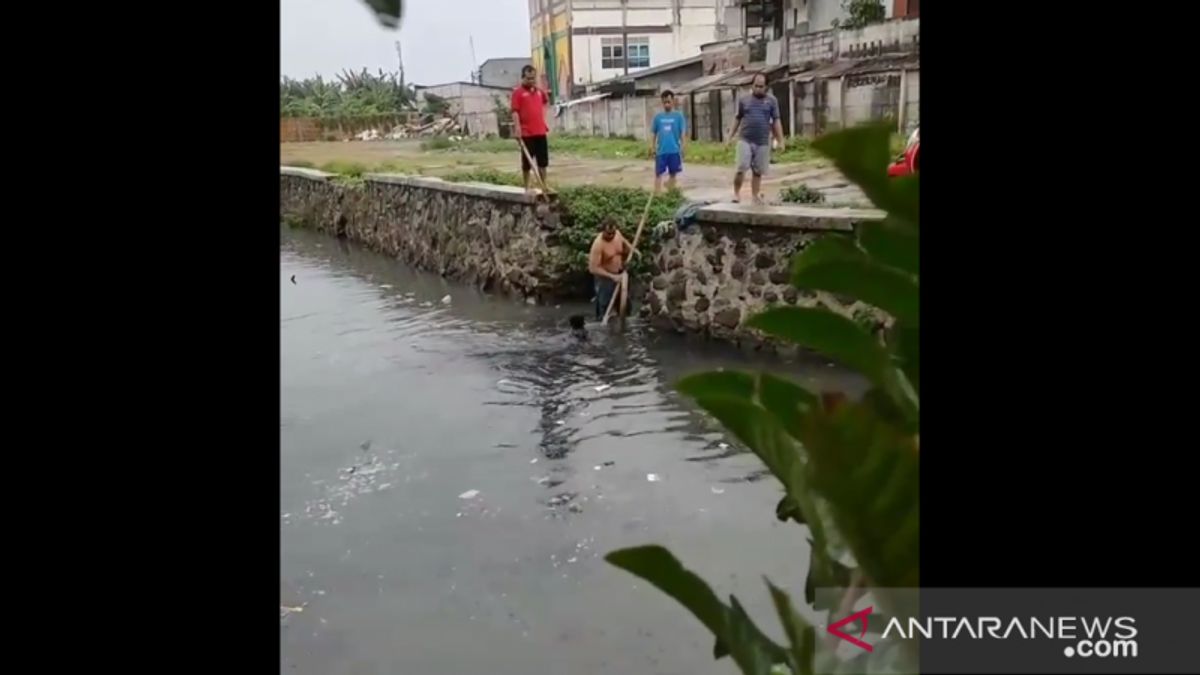 居民大惊小怪，慈善小偷将自己扔进Cengkareng Apuran河