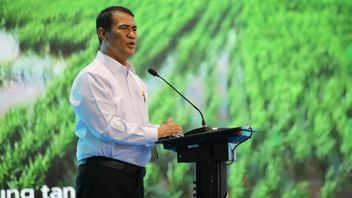 全国大米产量达到3100万吨,去年楠榜成就