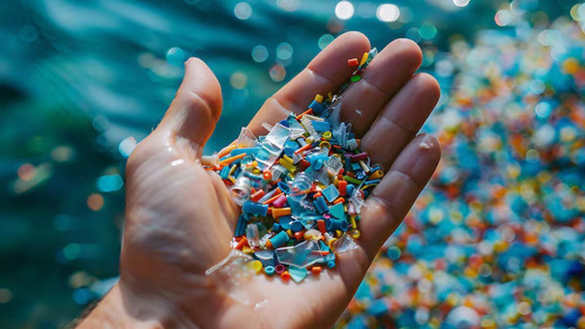Studi Ungkap Minuman Populer Ini Paling Banyak Mengandung Mikroplastik