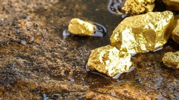 كيجاجونج دالامي أسال 109 أطنان من الذهب غير القانوني أنتام