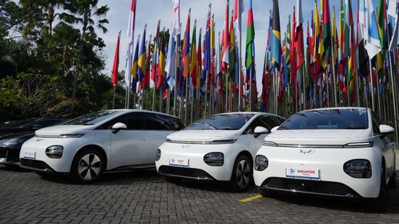 Wuling Hadirkan Pengalaman Drive For A Green Life di World Water Forum dengan Tiga Model Andalannya