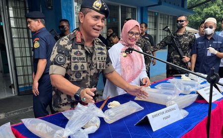 KKP Coba Endus Otak Utama usai Gagalkan Penyelundupan 52 Ribu Benih Lobster Ilegal di Lampung