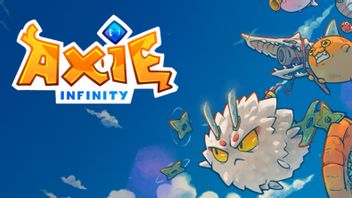 Axie Infinity Releases Accessory Anyar, Check Here!