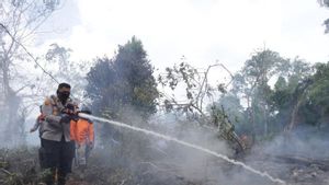 Kerja Keras BPBD, Polisi dan Pihak Terkait, Target dalam Sehari Padamkan Karhutla di Kepulauan Meranti Riau