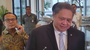 Airlangga Klaim Stimulus Pemerintah Dorong Pertumbuhan Ekonomi 2025