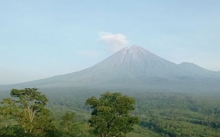 Status Siaga, Aktivitas Gunung Semeru Alami 21 Kali Gempa Letusan