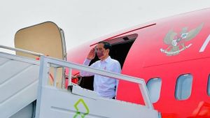 Terbang ke Papua, Jokowi: Sampai Bertemu Besok di Pembukaan PON XX