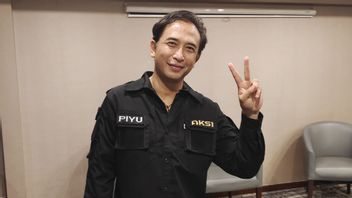 Piyu确认AKSI将在宪法法院提供版权法物质测试的信息