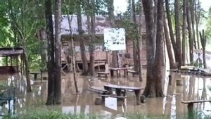 Sungai Batanghari Meluap Dalam Status Awas, 5 Wilayah di Jambi Dilaporkan Terendam Banjir