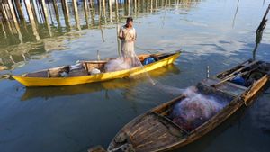 KNTI Bintan Lakukan Survei Kendala Akses BBM Subsidi untuk Nelayan Kecil