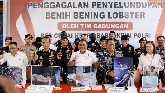 Bareskrim Polri Fails To Smuggle 151 Thousand Lobster Seeds Worth IDR 15 Billion In Bintan Waters