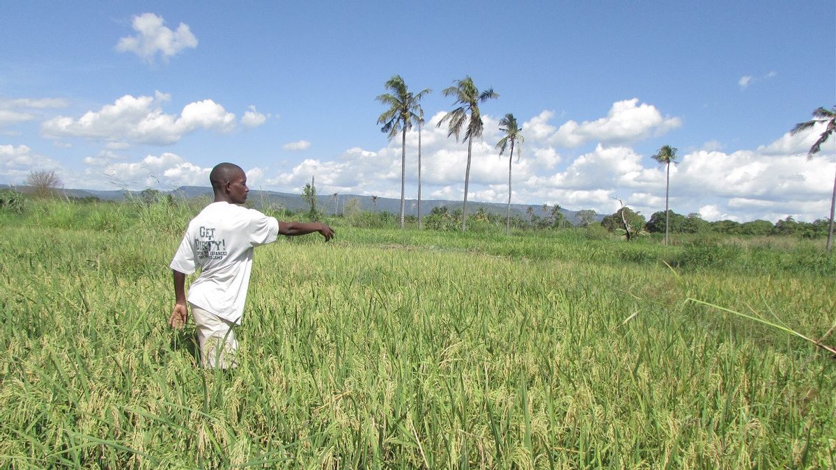 Tanzanian Government Says There Are No Signs Of Marburg Outbreak In The Country