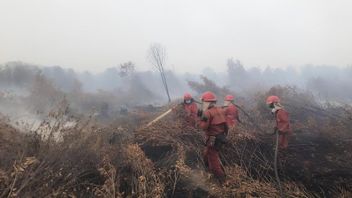 印度尼西亚的森林和陆地火灾在2023年10月之前达到994万公顷
