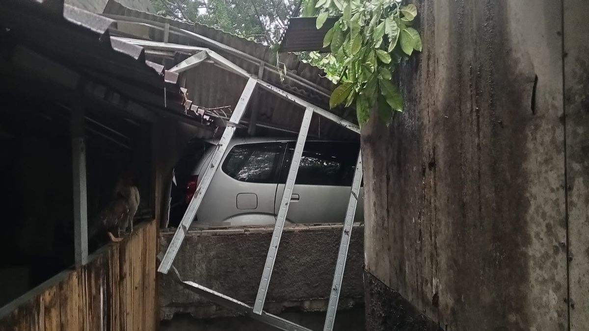 Warga Tangerang Laporkan Beberapa Pohon Tumbang Akibat Hujan dan Angin Kencang 