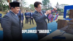 Presiden Prabowo Hadiahkan Baju untuk Anjing Presiden Korea Selatan