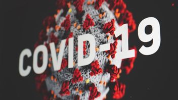 لوهوت سعيد COVID-19 جاكرتا بدأت في اجتياز ذروة الحالات بسبب أوميكرون
