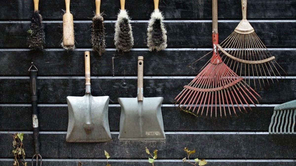 7 Peralatan Berkebun yang Wajib Dimiliki di Rumah