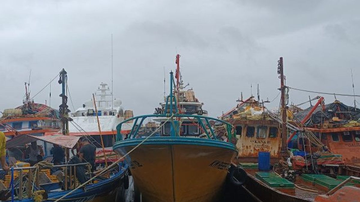 BMKG Estimates North Sulawesi Water Wind Speed Potentially High Waves