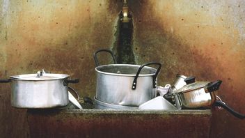 Ampuh Hapus Noda Membandel, Begini Cara Membersihkan Tempat Makan Stainless Steel yang Benar 