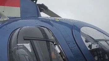 Task Force Cartenz a trouvé 9 trous de balles dans un hélicoptère IWN MD 500 piloté par la Nouvelle-Zélande