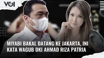 VIDEO: Miyabi Will Come To Jakarta, This Is What The Deputy Governor Of DKI Said, Ahmad Riza Patria