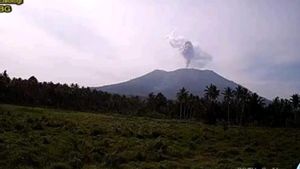 Gunung Ibu Maluku Utara Erupsi, Kolom Abu Setinggi 800 Meter
