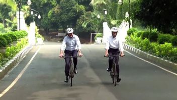 脱下西装，裹上衬衫的袖子，佐科威和澳大利亚总理全神贯注地骑着竹子自行车去餐厅